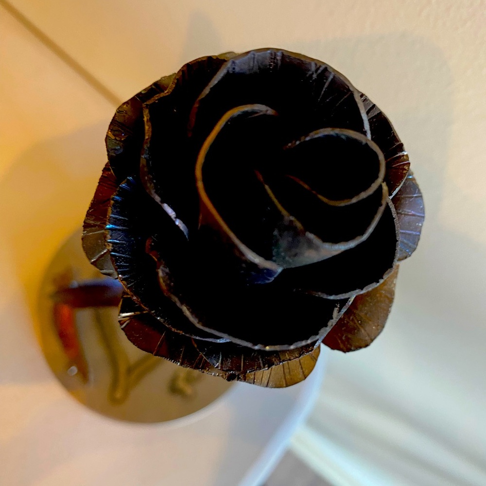 Meet your Posher, Shawn